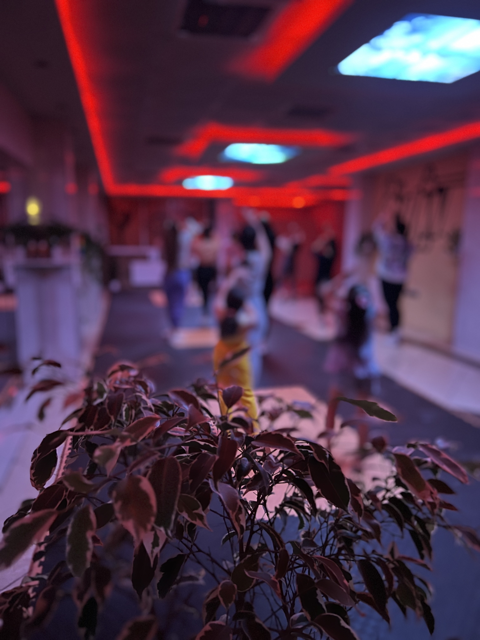 ایروبیک شاد بزرگسال (ویژه)